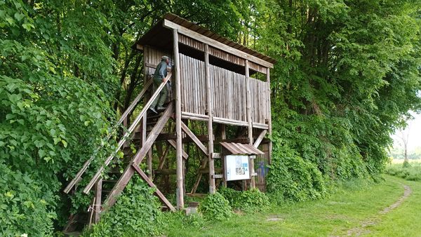 Beobachtungsturm in Altfriedland